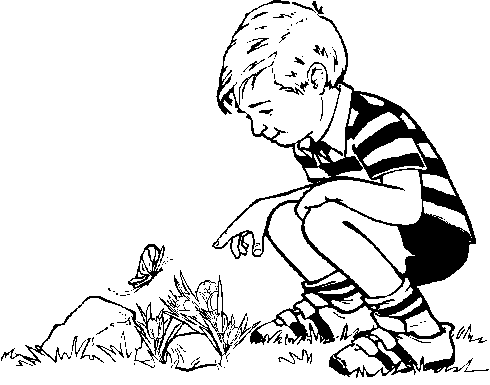 Boy and Butterfly